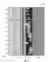 Fig. 08 - Identification of Casing Collars While Drilling and Post Drilling Using LWD and Wireline Measurements