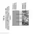 Fig. 04 - Ammonia storage structure and associated systems