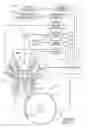 Fig. 02 - Piston and bowl for gasoline direct injection compression ignition (GDCI)