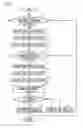 Fig. 10 - Fuel injection device