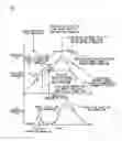 Fig. 22 - Fuel injection device