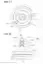 Fig. 11 - Spark plug for internal combustion engine