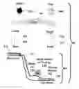 Fig. 01 - SYSTEM AND METHOD FOR ARTIFICIAL GRAVITY FUELED FLUID DYNAMIC ENERGY GENERATOR OR MOTOR