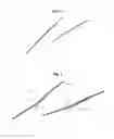 Fig. 02 - Radial or mixed-flow compressor diffuser having vanes