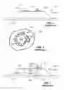 Fig. 02 - Apparatus for attaching a member to a core-stiffened structure and a combination thereof