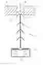 Fig. 01 - Attachment element