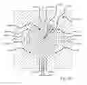 Fig. 37 - Blind fastener