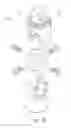 Fig. 09 - ELASTIC SHORT-PIN TYPE UNIVERSAL JOINT