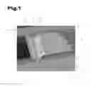 Fig. 02 - Friction assembly