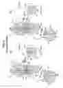 Fig. 10 - Metal belt for continuously variable transmission