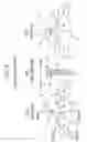 Fig. 13 - Metal belt for continuously variable transmission