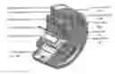 Fig. 01 - Curved bearing contact system