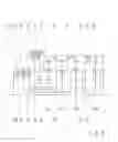 Fig. 04 - Transmission for a Motor Vehicle