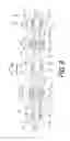 Fig. 09 - Bicycle sprocket
