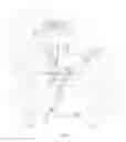 Fig. 04 - Tilting disc check valve