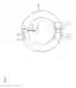 Fig. 08 - Bouncing ornament