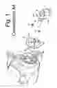 Fig. 02 - Vehicle lighting unit having bulb fixation structure