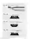 Fig. 04 - Lens member and vehicle lighting unit