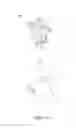 Fig. 11 - Flashing Treetop Star
