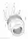 Fig. 03 - Flash suppressor for firearm