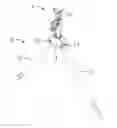 Fig. 01 - RIFLE SUPPORT