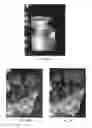Fig. 07 - FLEXIBLE ADHESIVE BALLISTIC SHIELD