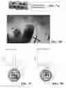 Fig. 06 - Core-shell nanofiber textiles for strain sensing, and methods of their manufacture