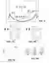Fig. 07 - Core-shell nanofiber textiles for strain sensing, and methods of their manufacture