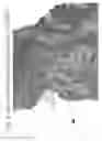 Fig. 09 - Aqueous compositions and methods of using the same for histopathological evaluation of tissue samples