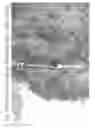 Fig. 11 - Aqueous compositions and methods of using the same for histopathological evaluation of tissue samples