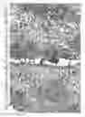 Fig. 13 - Aqueous compositions and methods of using the same for histopathological evaluation of tissue samples