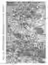 Fig. 14 - Aqueous compositions and methods of using the same for histopathological evaluation of tissue samples