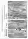 Fig. 15 - Aqueous compositions and methods of using the same for histopathological evaluation of tissue samples