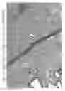 Fig. 20 - Aqueous compositions and methods of using the same for histopathological evaluation of tissue samples