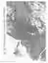 Fig. 30 - Aqueous compositions and methods of using the same for histopathological evaluation of tissue samples