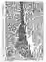 Fig. 33 - Aqueous compositions and methods of using the same for histopathological evaluation of tissue samples