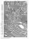 Fig. 34 - Aqueous compositions and methods of using the same for histopathological evaluation of tissue samples