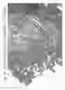 Fig. 35 - Aqueous compositions and methods of using the same for histopathological evaluation of tissue samples
