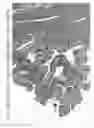 Fig. 37 - Aqueous compositions and methods of using the same for histopathological evaluation of tissue samples