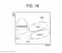 Fig. 20 - Method for analyzing atypical cells in urine, urine analyzer, and method for analyzing atypical cells in body fluid