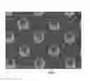 Fig. 05 - Surface-enhanced Raman scattering unit and Raman spectroscopic analysis method