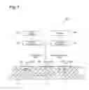 Fig. 08 - Surface-enhanced Raman scattering unit and Raman spectroscopic analysis method