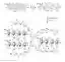 Fig. 01 - Carbon-Sulfur Based Core-Shell Materials Compositions, Methods, and Applications