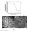 Fig. 07 - Carbon-Sulfur Based Core-Shell Materials Compositions, Methods, and Applications