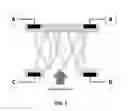 Fig. 06 - Nanostructured sensor architecture and method for enhanced chemical detection