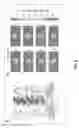 Fig. 06 - Method and apparatus analyzing a target material