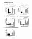 Fig. 11 - PERFORIN 2 DEFENSE AGAINST INVASIVE AND MULTIDRUG RESISTANT PATHOGENS