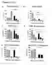 Fig. 12 - PERFORIN 2 DEFENSE AGAINST INVASIVE AND MULTIDRUG RESISTANT PATHOGENS