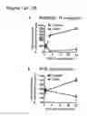 Fig. 13 - PERFORIN 2 DEFENSE AGAINST INVASIVE AND MULTIDRUG RESISTANT PATHOGENS