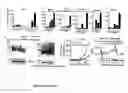 Fig. 15 - PERFORIN 2 DEFENSE AGAINST INVASIVE AND MULTIDRUG RESISTANT PATHOGENS